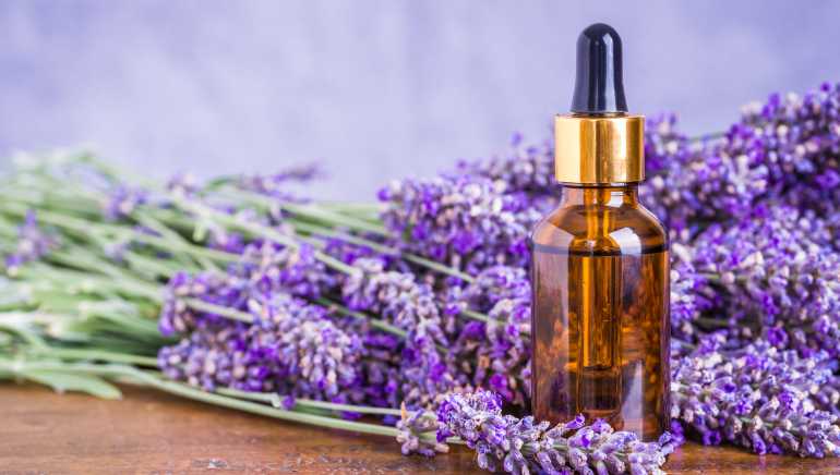 Benefits of Using Lavender Oil | Coral Aroma