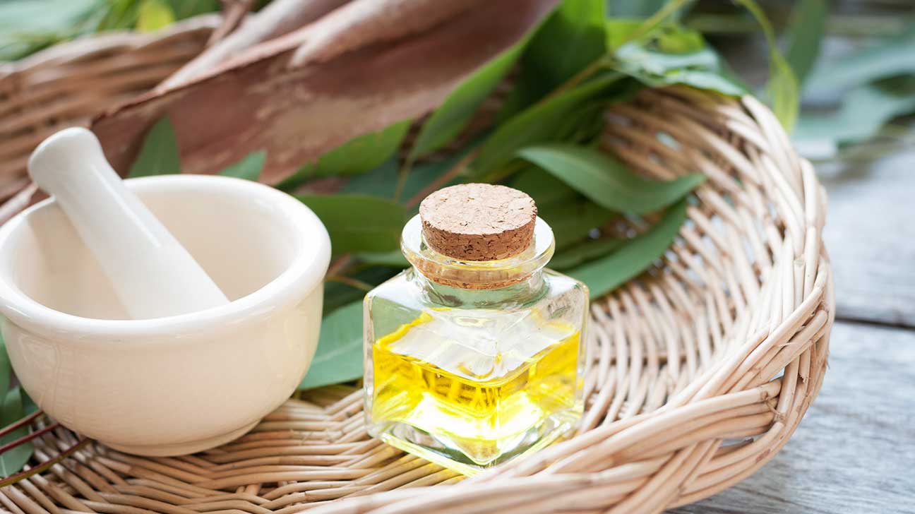Major Benefits of Using Eucalyptus Essential Oils